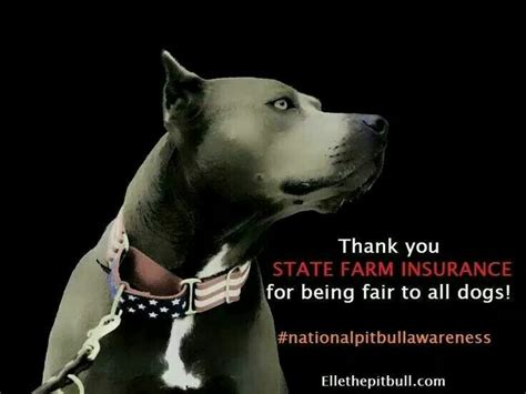 Does State Farm Exclude Pit Bulls